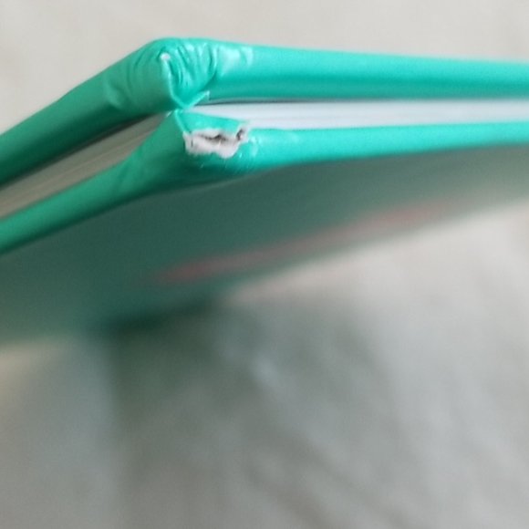 Olivia and the Fairy Princesses - Picture 3 of 4